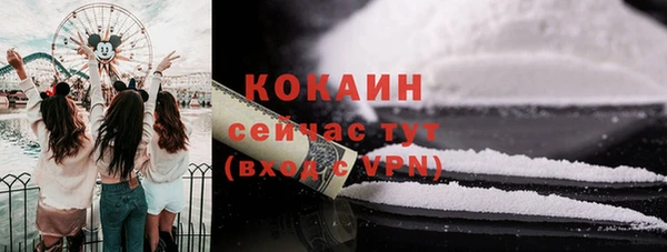сатива Каменногорск