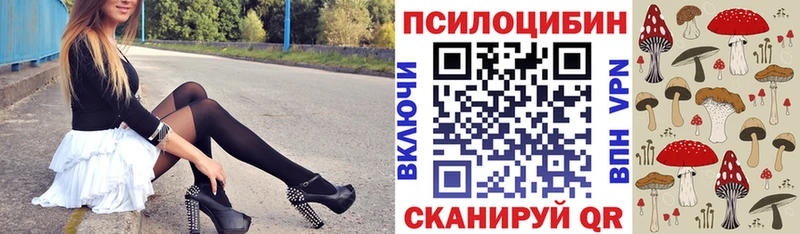Псилоцибиновые грибы GOLDEN TEACHER Купить где Ахтубинск